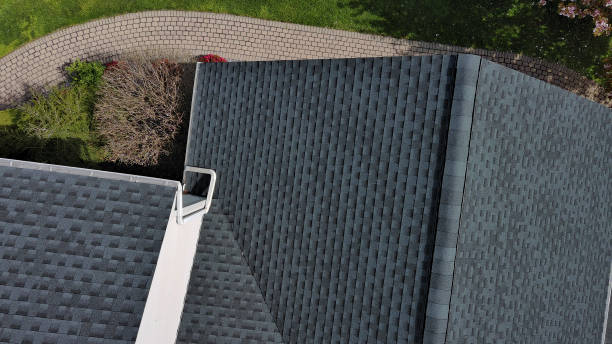 Best Roof Maintenance and Cleaning  in Citrus City, TX